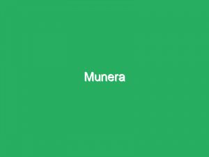 Munera