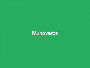 Munoveros