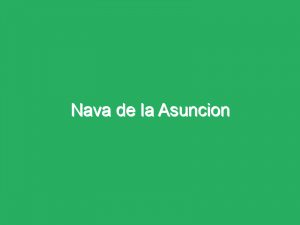 Nava de la Asuncion