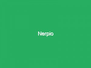 Nerpio