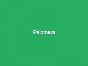 Palomera