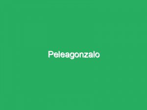 Peleagonzalo