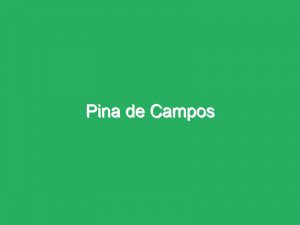 Pina de Campos