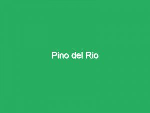 Pino del Rio
