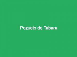 Pozuelo de Tabara