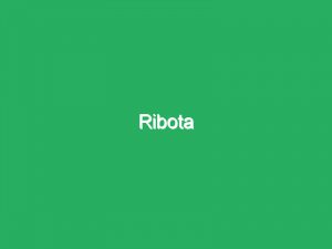 Ribota