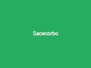 Sacecorbo