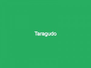 Taragudo