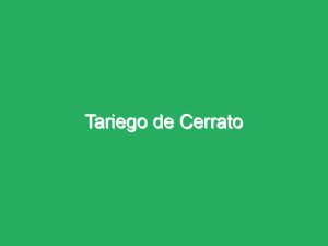 Tariego de Cerrato