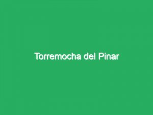 Torremocha del Pinar