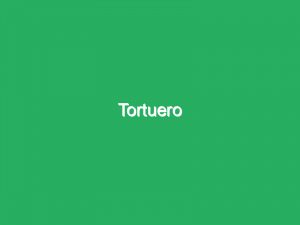 Tortuero