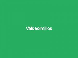 Valdeolmillos