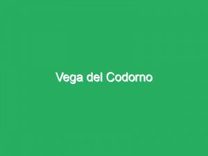 Vega del Codorno