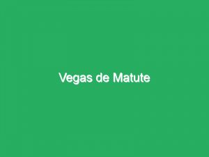 Vegas de Matute