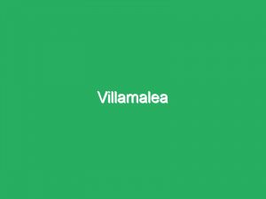Villamalea