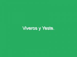 Viveros y Yeste.