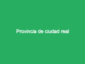 Provincia de ciudad real